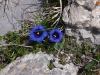 morteys5