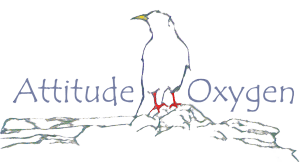 Attitude Oxygen